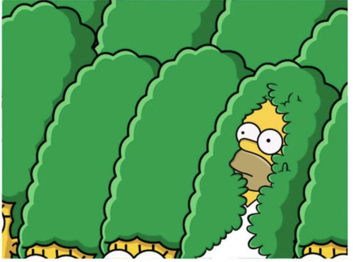 BuhBye Variant (Green)